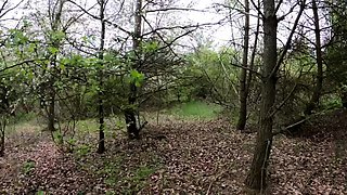Tru Kait Fucked Outdoor Public