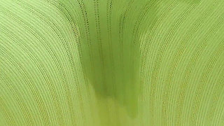 Run to Cum - 6 Orgasms