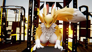 Hot Furry Renamon  Hard Sex Compilation
