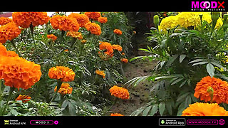 Newely Married Couple Enjoying Hardcore Rough Sex