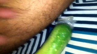 Today, I Put a Cucumber Into My Stepsister-in-law's Pussy.