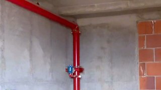 Shhh! Exhibitionist caught touching herself in public