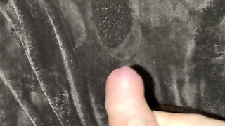 I Took off Her Panties, Massaged Her Pussy, and Then Thrust My Cock Into Her Vagina and Started Fucking Her.