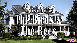 Leave It to Moms Beaver Birds and the Bees - S1e10