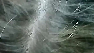 3438227799.mp4
