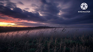 She roams the fields in Horror Animation.