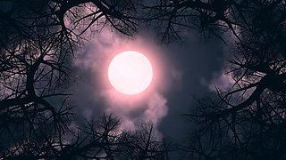 Monster Porn - The Undreamed