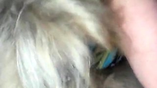 Single American Mom Loves Sucking Cock