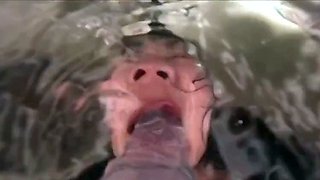 Fetish lesbians toy their asses with plugs