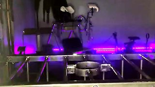 Amateur fetish couples tape