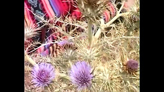 When Germans Go on Vacation and Want to Fuck