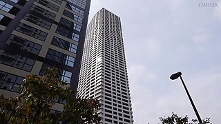 041-wyhhu-towith-youareare-dss