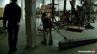The Training of Seda, Day One
