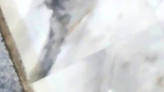 Bustys Cam Webcam Big Boobs Free Big Boobs Cam Porn Video