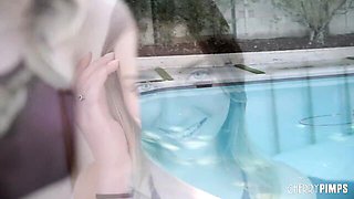 Dan and Macy's petite sex