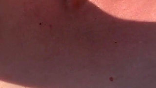 Sunrise Hairy Bush and Cigars Tanning in the Garden