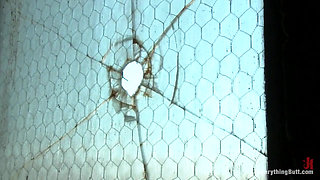 Kelly Divine Likes It Rough