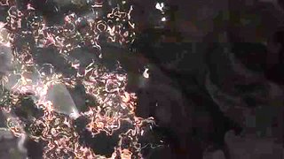 Vivid Illusion beyond control_21020502p0
