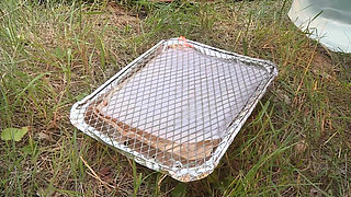 Hot and pretty brunette does boobjob and fucks outdoor