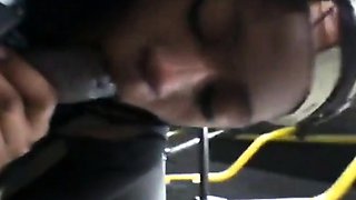 Brain's Blowjob on the Bus