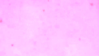 The Unicorns Interview