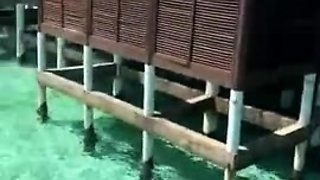 Czech amateur blowjob and fucking POV in public
