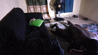 Submissive, dominated, mission