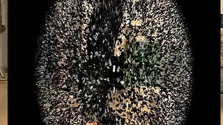 melady crush cartons