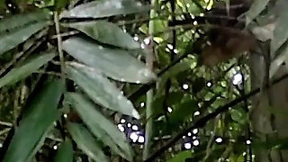 I Hide Behind a Tree and Watched the Bath