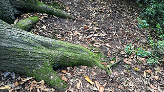 Risky Piss, Dildo, Facial, Deep-throat in the Woods