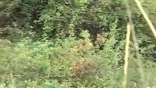 Andara Delaine In Anal Virgin Gets Her First Big Cock