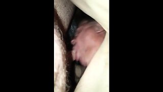 Amateur Cock-Sucking Extravaganza