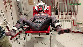 Playing Puppies the First Examination