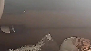 I Pull Down My Classmate's College Shorts