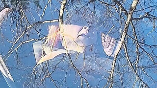 He's Watching Again Strangers Naughty Grin