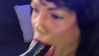 I Suck Your Cock, Stepdaddy