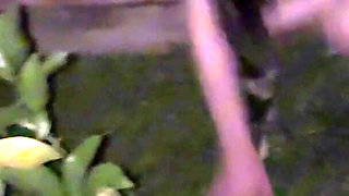 During the Christmas Holidays, He Had Sex with a Stepcousin Behind My Back Without Anyone in the Family Finding Out.