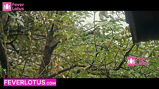 Vintage Chinese Porn Top Eight Chinese Geisha - 1