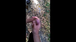 Hand Relief in the Park