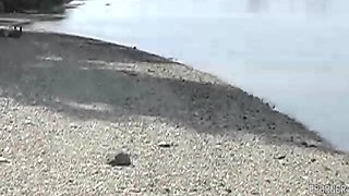 Brandy Lynn And Her Big Titties in amateur vintage hardcore - Big dick