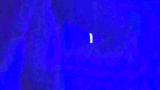 XXX Sister in Law Sexy Fucked Sex Porn Videos