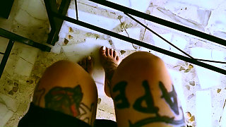 My Desk, My Rules, My Human Footstool