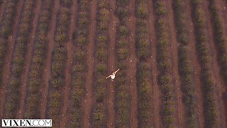 Vixen - small tits dirt