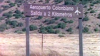 Blonde Blowjob Outdoor