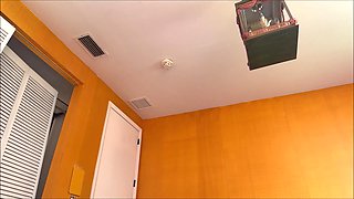 Wild fuck with my goth Latina stepsister after she say me jerking off on her