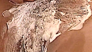 Ebony Babe From Germany Got Her Holes Used by Toys in the Kitchen