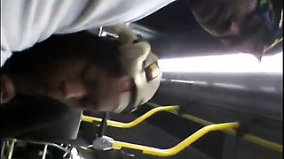Brain's Blowjob on the Bus