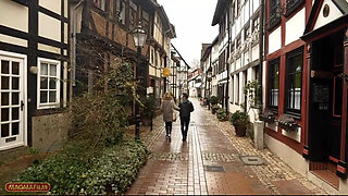 The Funny Conny Dachs Does Make a Survey... Yeah, Exactly!