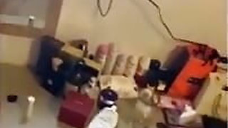 BIMBO& YOUR CHEATING GIRLFRIEND-LUX& TRIPPY& BDSM COMPILATION-MODEL &AMATEUR- SAUDI ARABIAN SNOWWHITE-LOS ANGELES -UNITED STATES