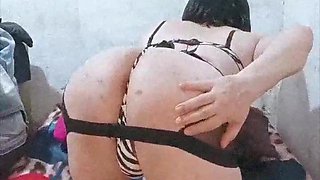 Attempting on this highly jaw-dropping zebra-striped underwear